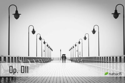 Op_011.mp3 Image of the song.