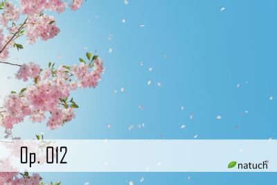 Op_012.mp3 楽曲イメージ