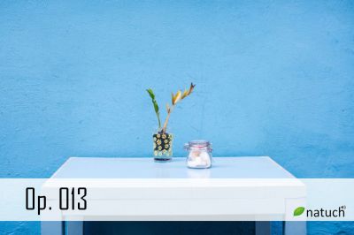 Op_013.mp3 Image of the song.