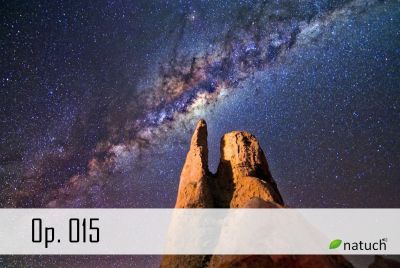 Op_015.mp3 Image of the song.