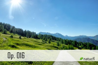 Op_016.mp3 Image of the song.