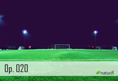 Op_020.mp3 Image of the song.