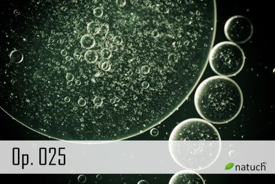 Op_025.mp3 Image of the song.