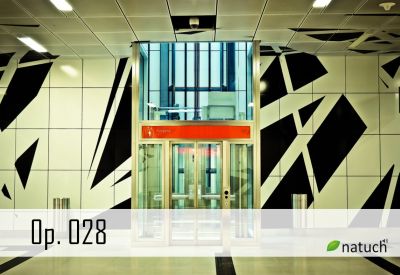 Op_028.mp3 Image of the song.