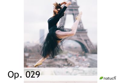 Op_029.mp3 Image of the song.