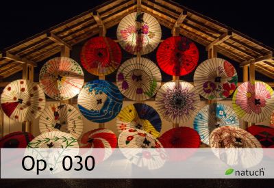 Op_030.mp3 Image of the song.