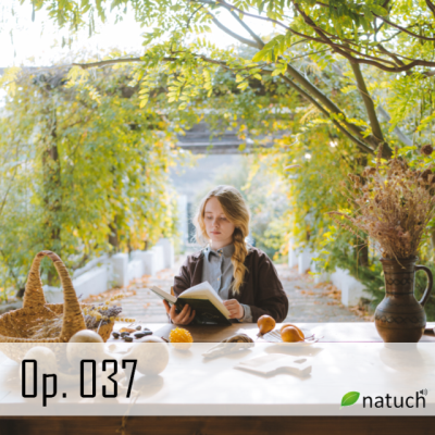 Op_037.mp3 楽曲イメージ